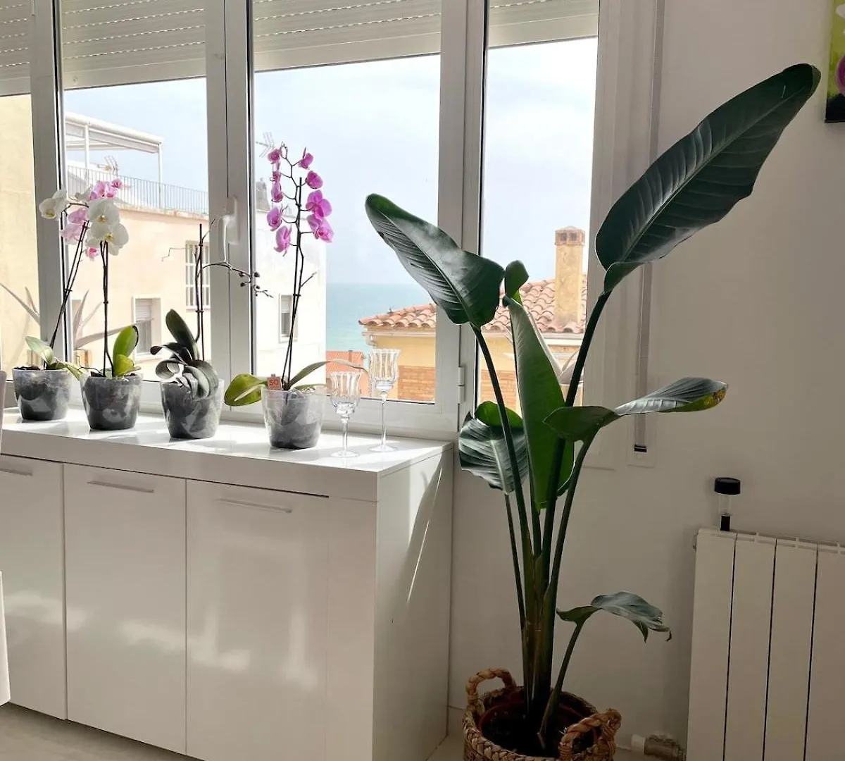 Apartment Cute&Confortable Tarragona